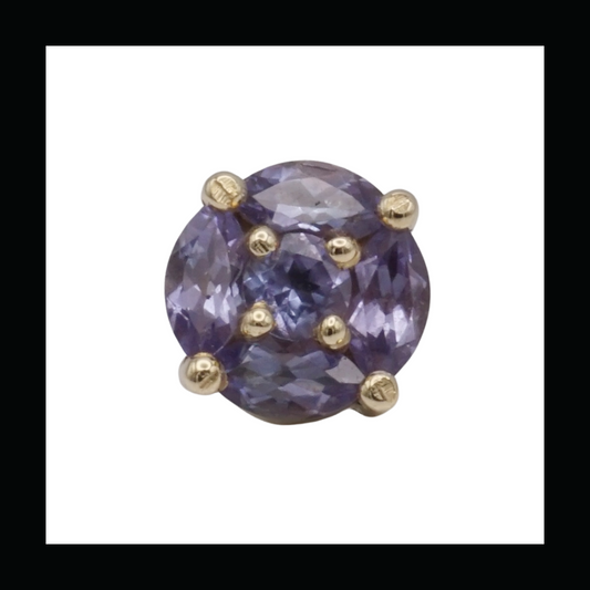 Prophet - Tanzanite